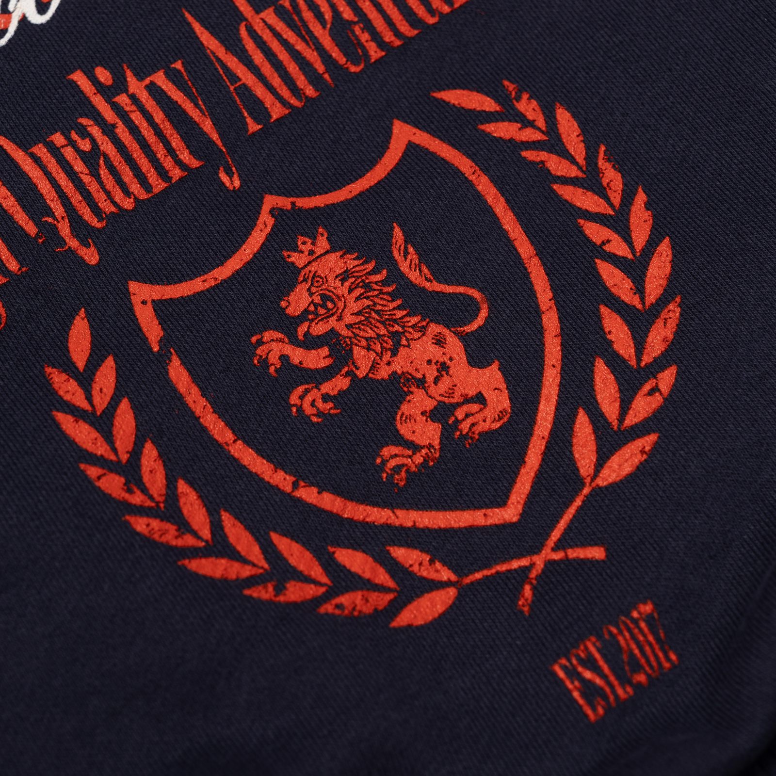 Свитшот "Critical success"